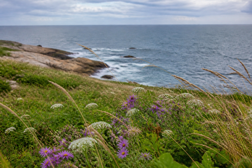 What Maine small businesses need from a website